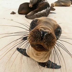 Meet your Posher, Michaela